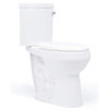 tallest toilet with 20 inch from floor to rim
